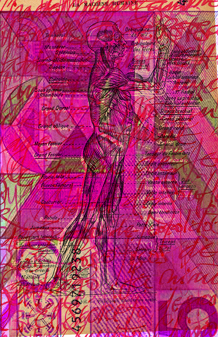 collage